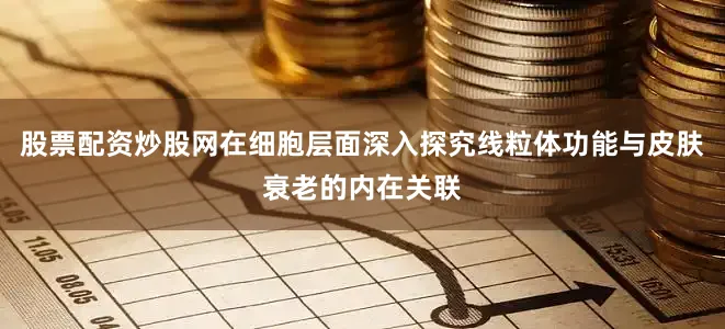 股票配资炒股网在细胞层面深入探究线粒体功能与皮肤衰老的内在关联