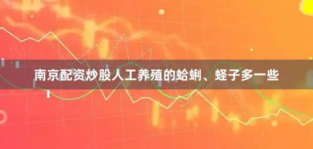 南京配资炒股人工养殖的蛤蜊、蛏子多一些