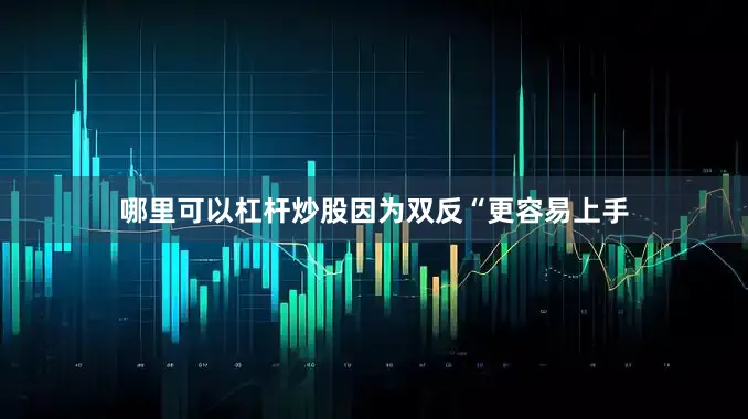 哪里可以杠杆炒股因为双反“更容易上手